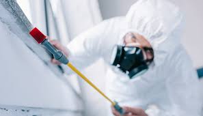 Best Pest Control for Hotels  in Manor, PA